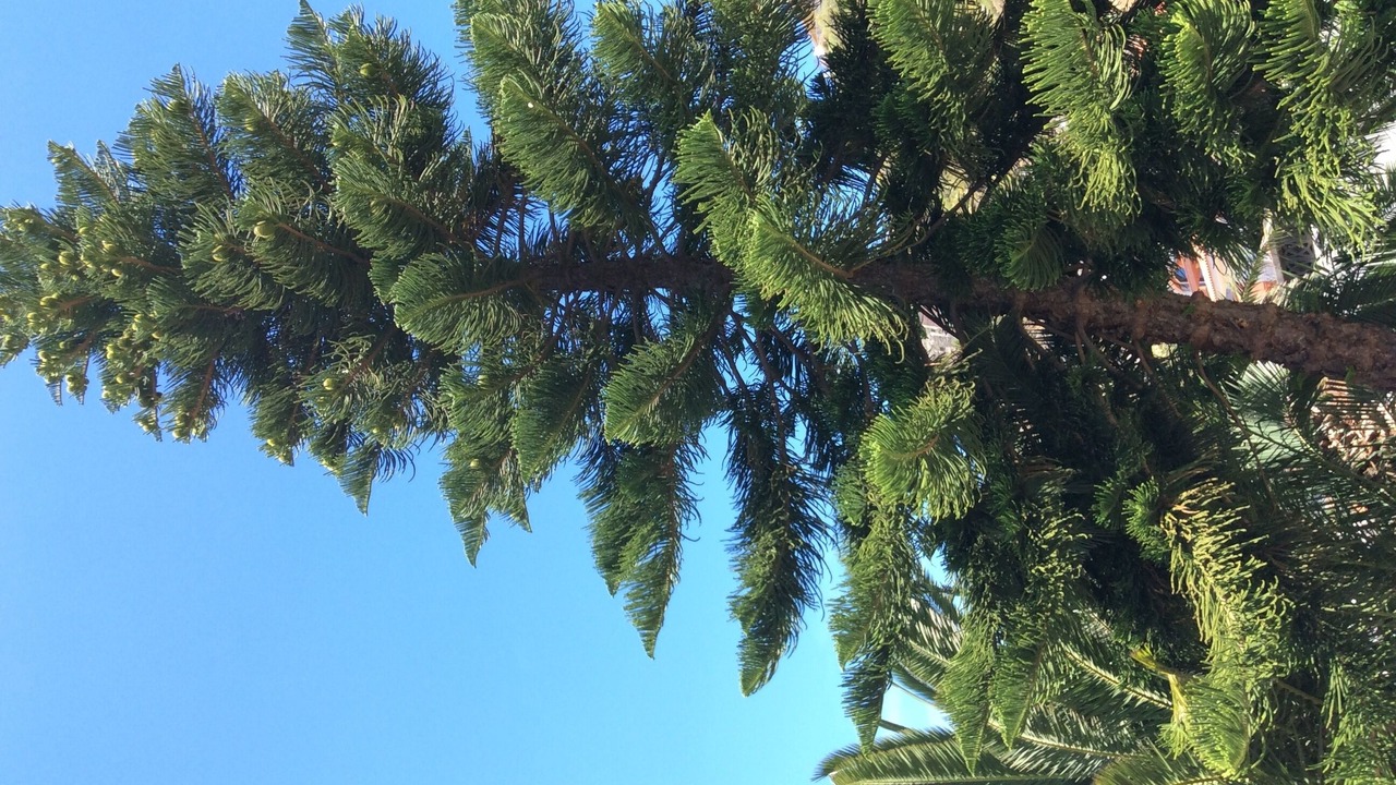 Photo of Outdoor in Sauzal
