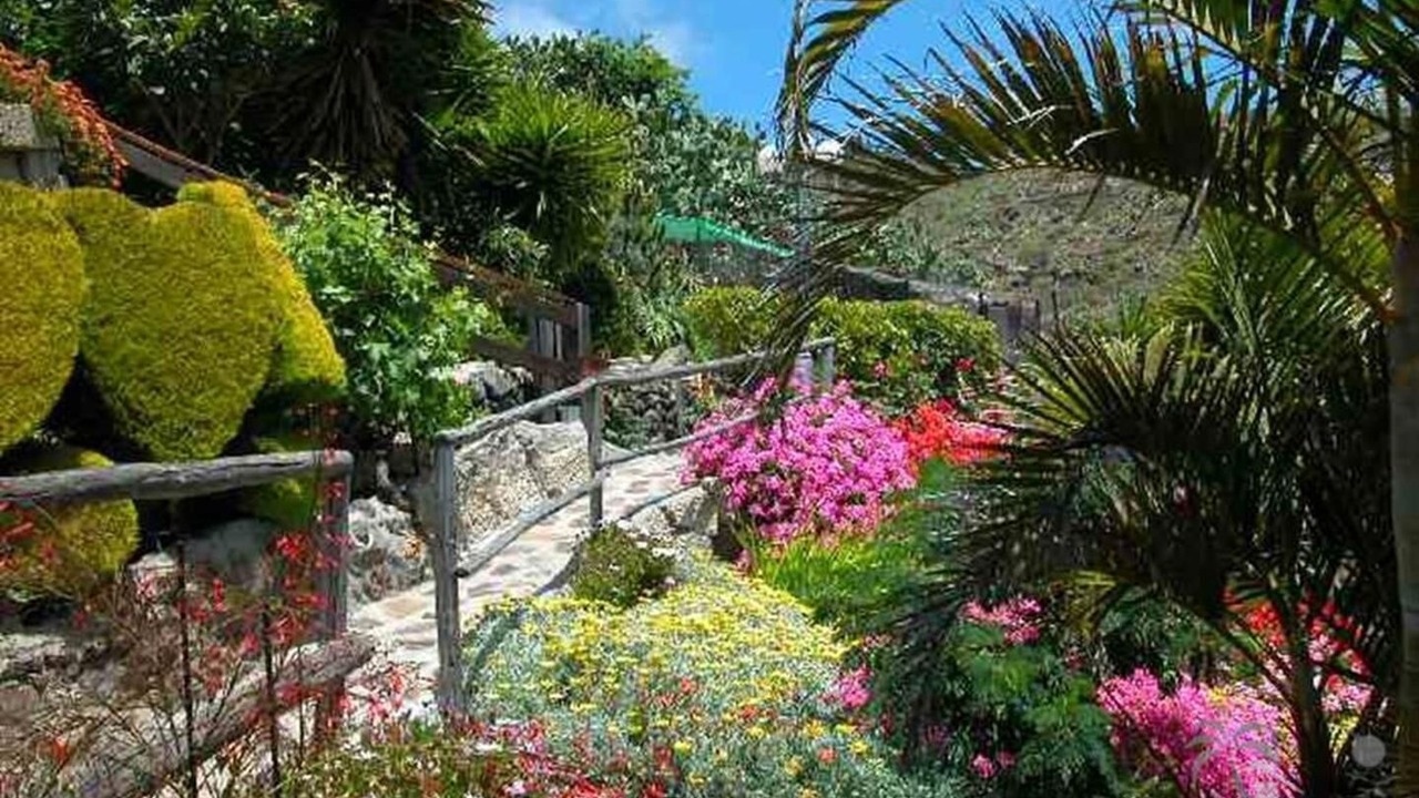 Photo of Outdoor in El Jaral
