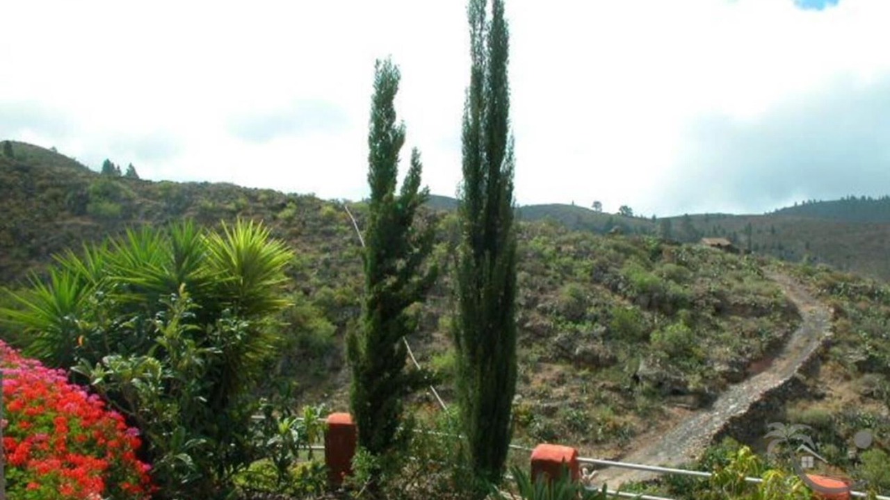 Photo of Outdoor in El Jaral