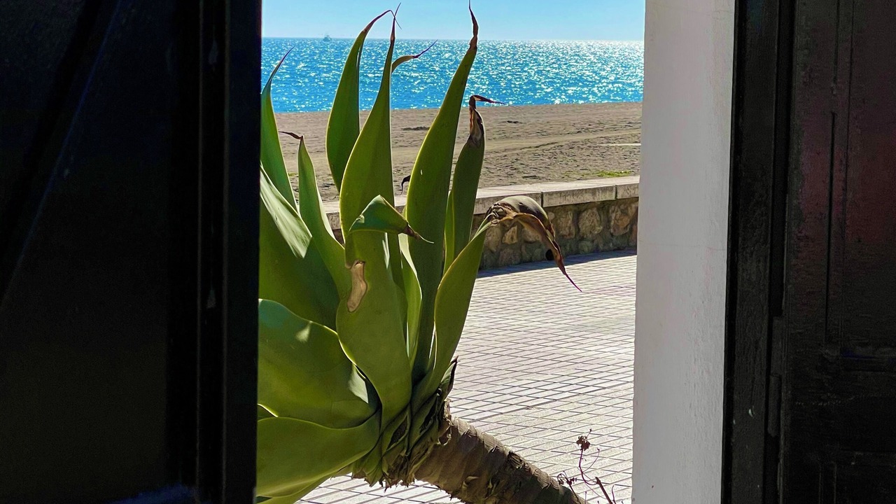 Photo of Outdoor in Torre del Mar