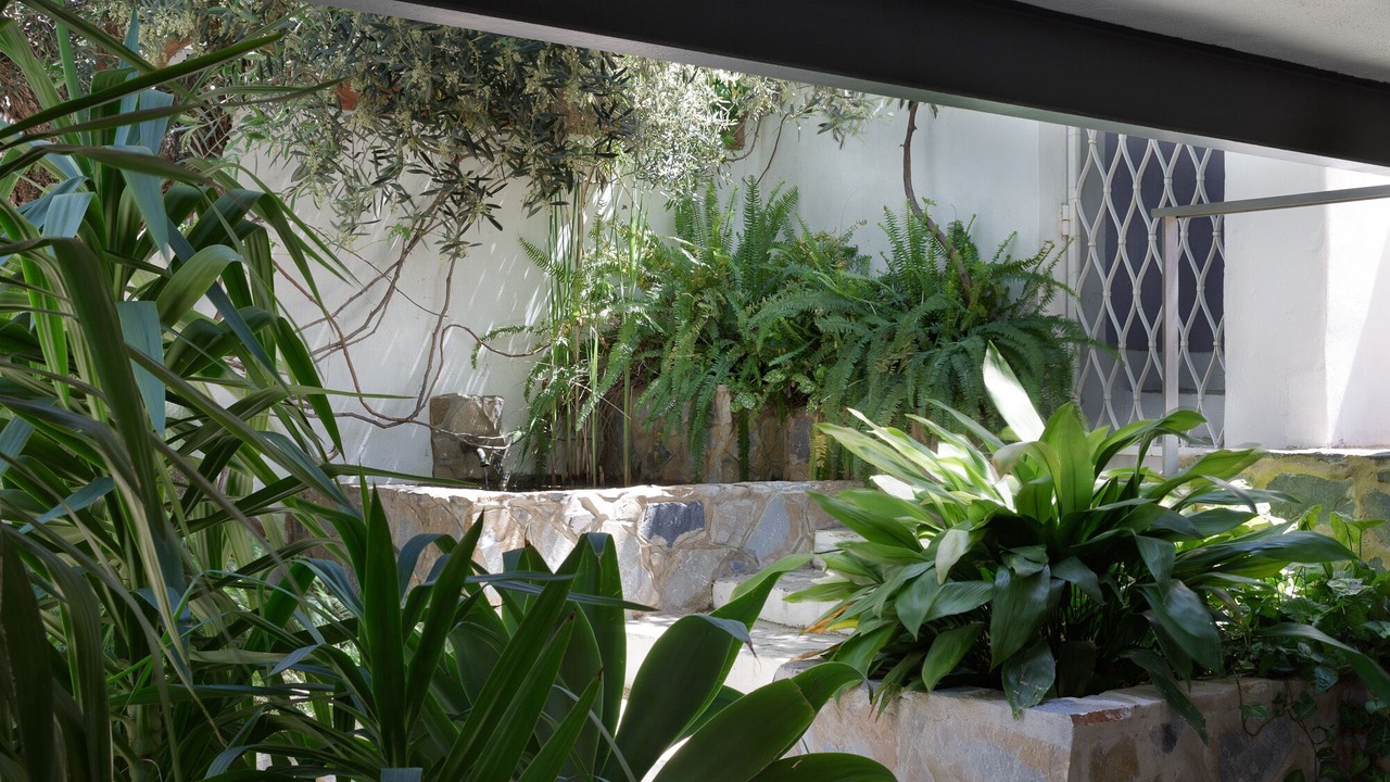 Photo of Outdoor in El Albir