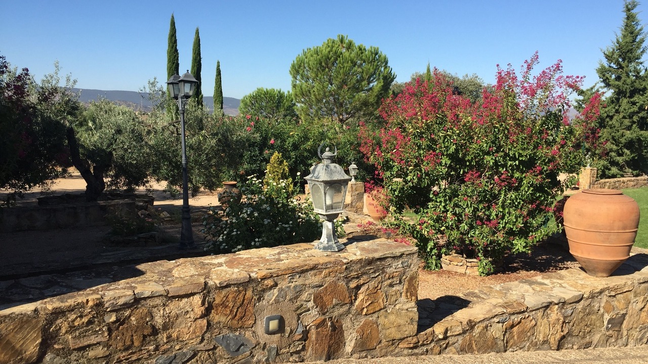 Photo of Outdoor in Zafra
