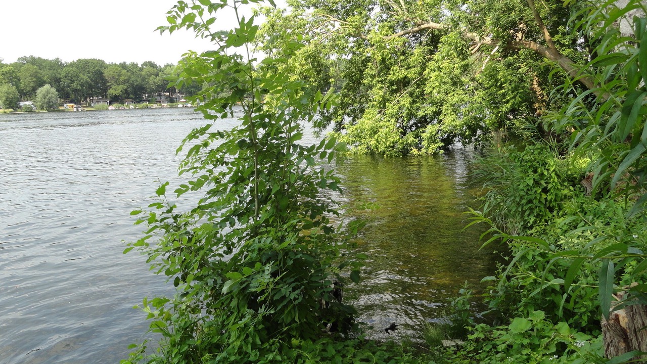 Photo of Outdoor in Caputh