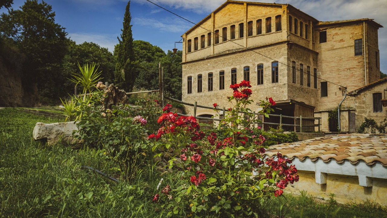 Photo of Outdoor in Torrelavit