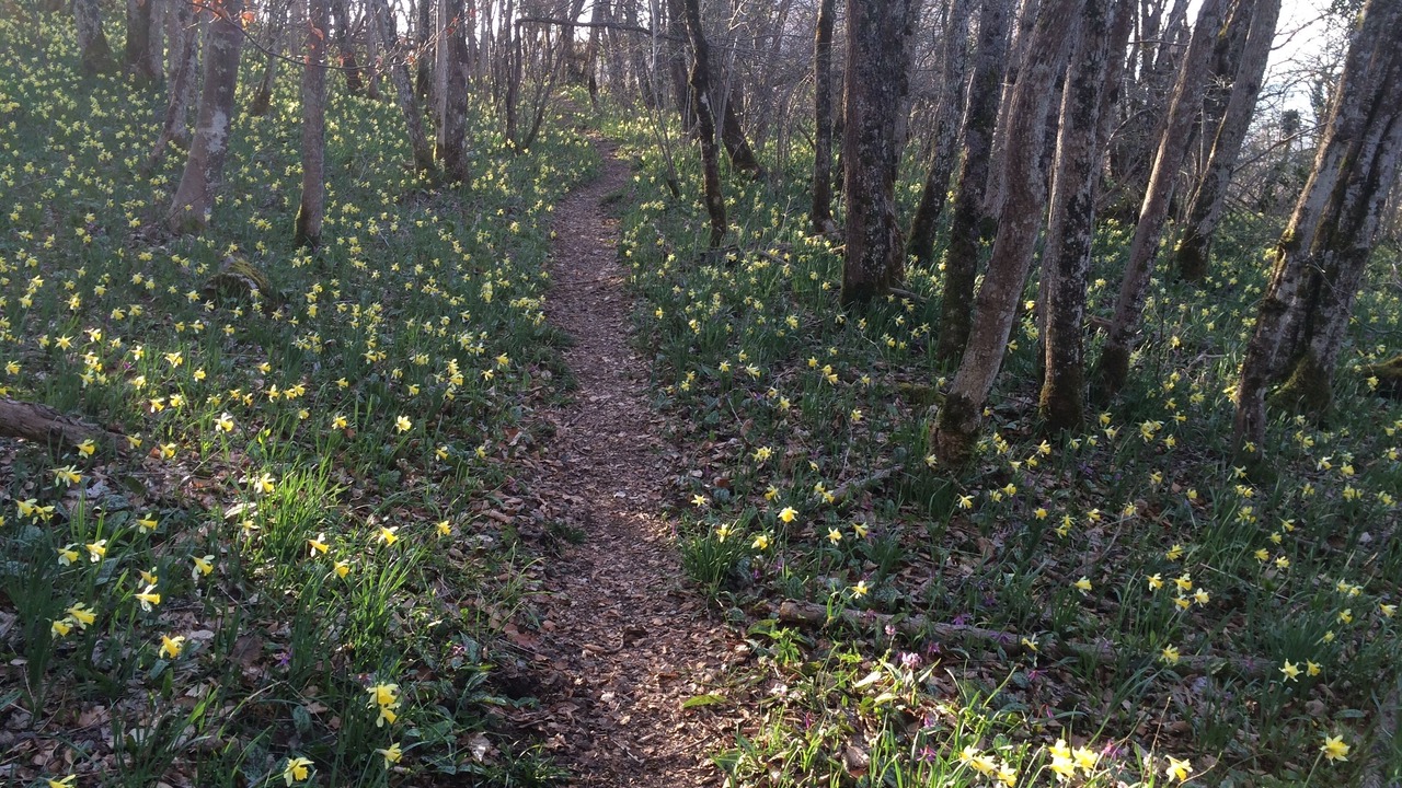 Photo of Outdoor in Lelex