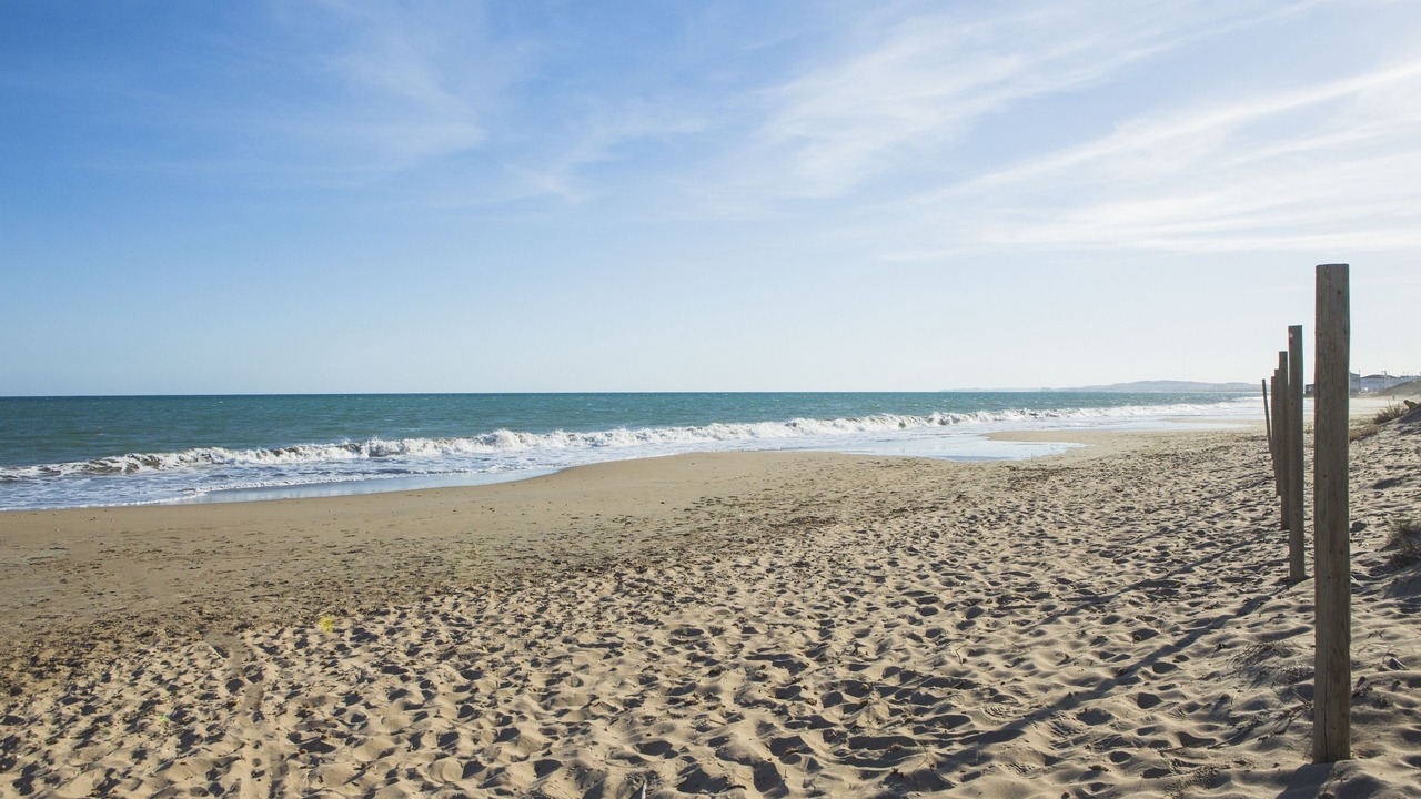 Photo of Others in La Marina
