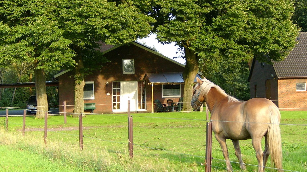 Photo of Outdoor in Papenburg