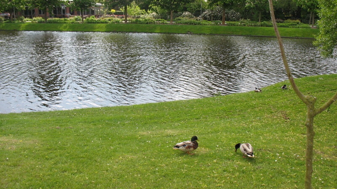 Photo of Outdoor in Papenburg