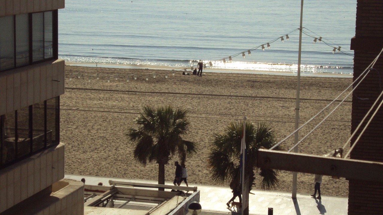 Photo of Others in Benidorm