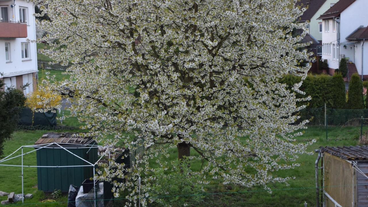 Photo of Outdoor in Lohfelden