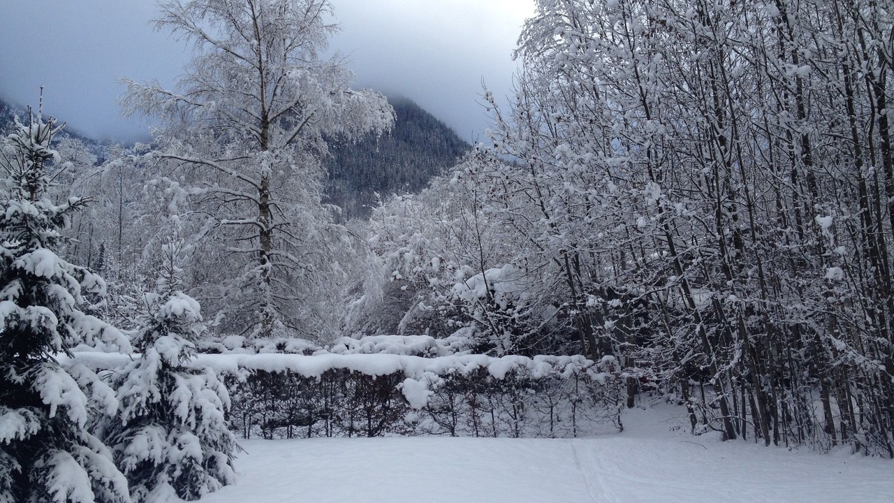 Photo of Outdoor in Les Houches