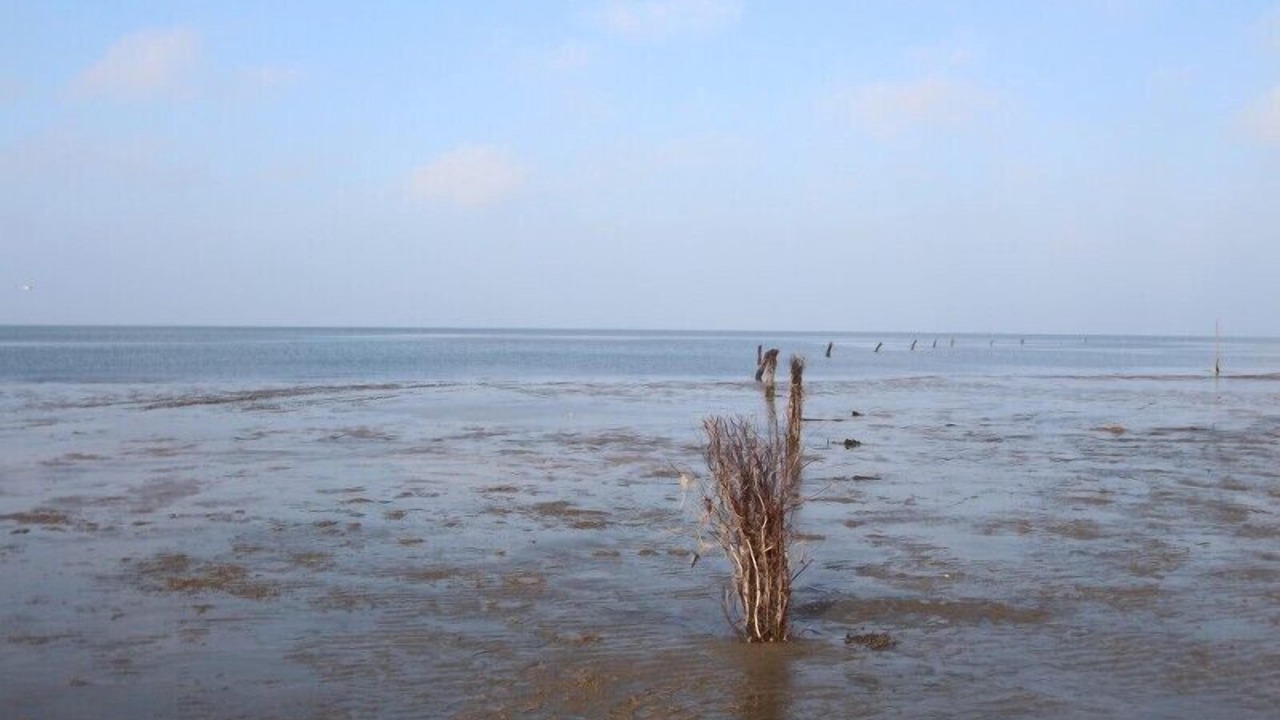 Photo of Others in Sahlenburg