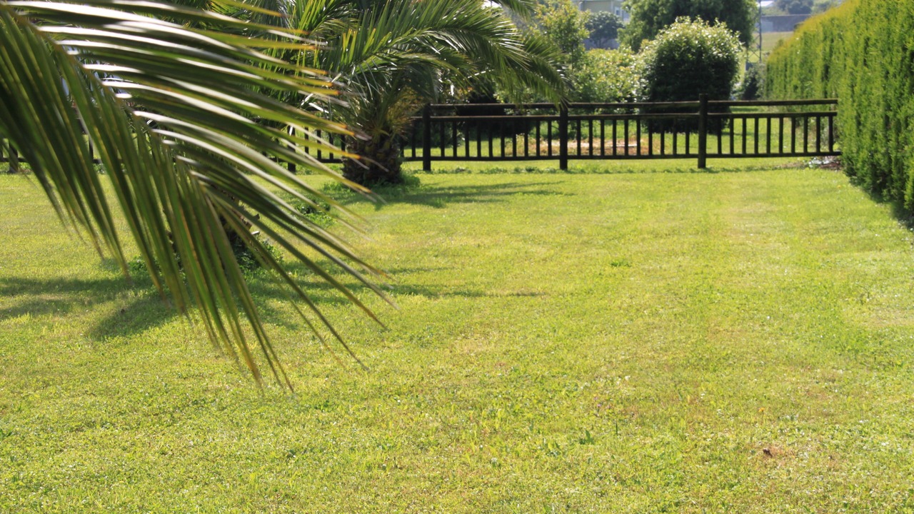 Photo of Outdoor in Valdes