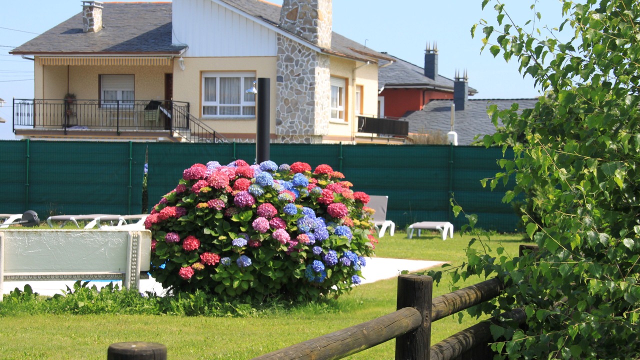 Photo of Outdoor in Valdes