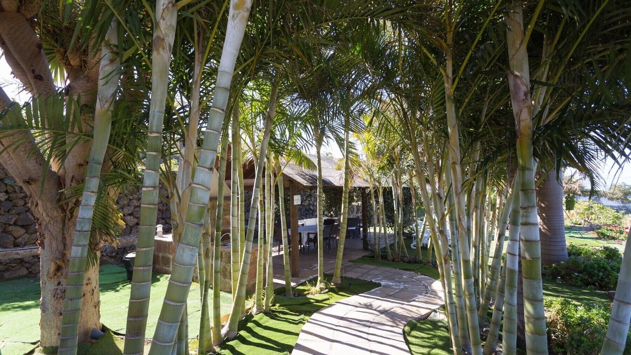 Photo of Outdoor in La Matanza de Acentejo