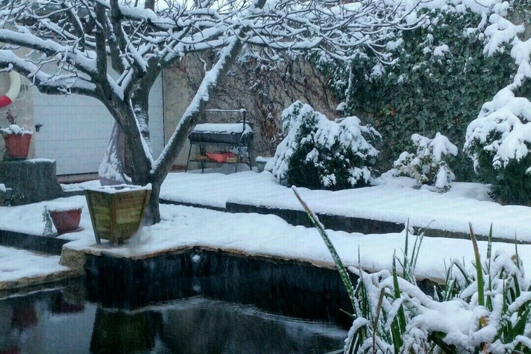 Photo of Outdoor in Fuentemilanos