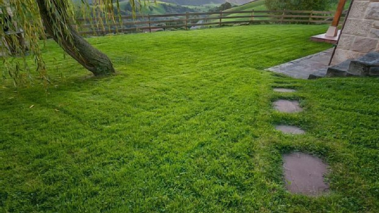 Photo of Outdoor in Selaya