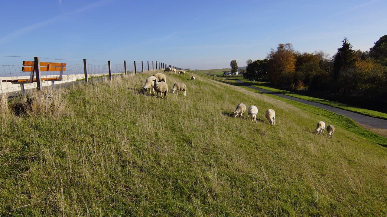 Photo of Others in Ditzum