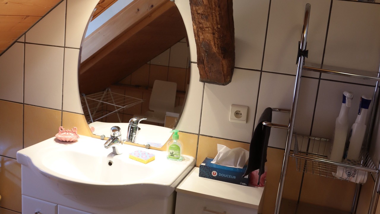 Photo of Bathroom in Duingt