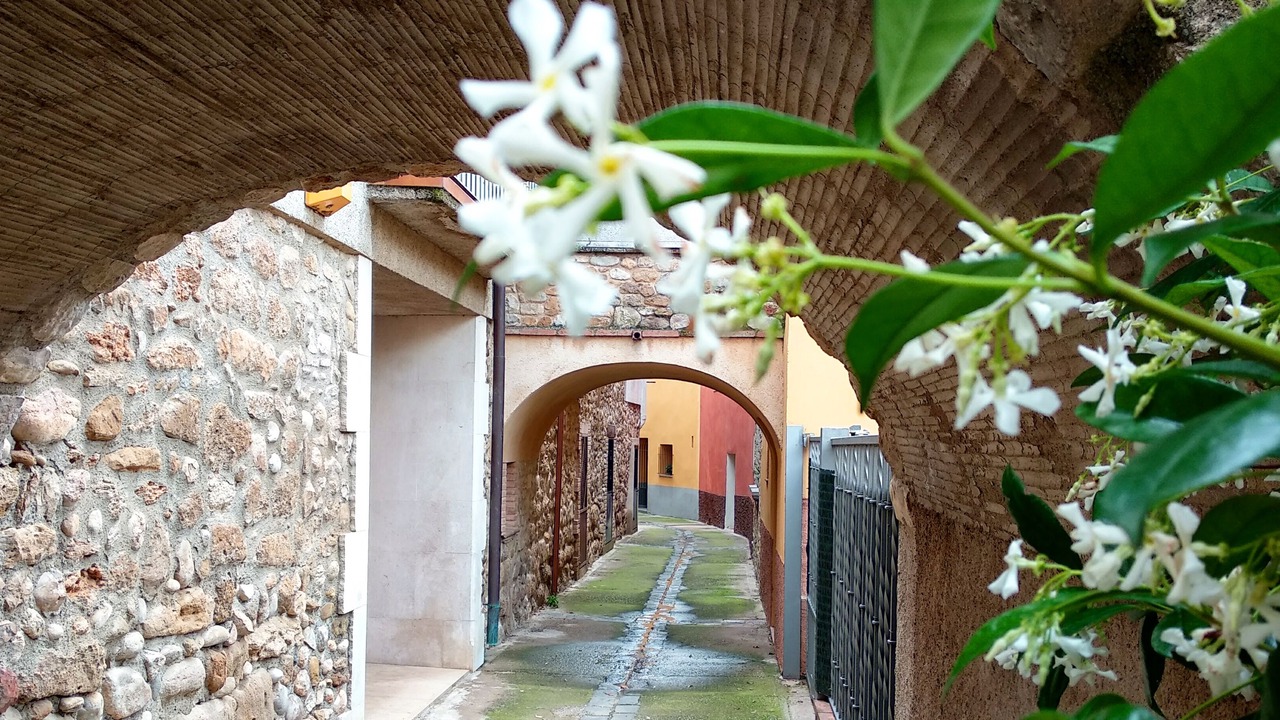 Photo of Outdoor in Navata