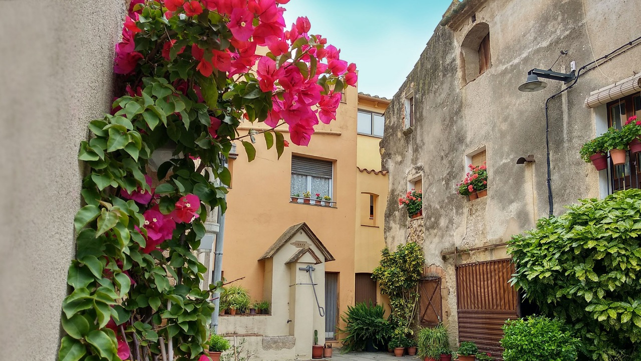 Photo of Outdoor in Navata