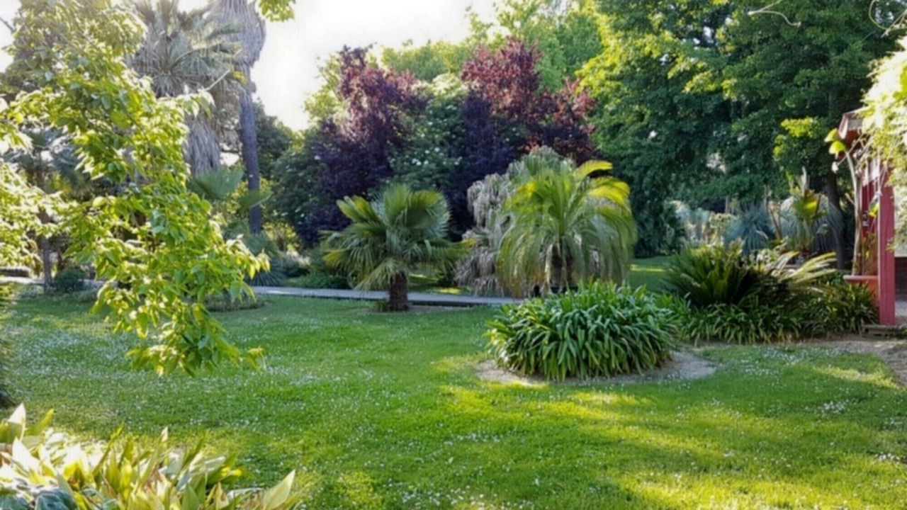 Photo of Outdoor in Saint-Cyprien Plage