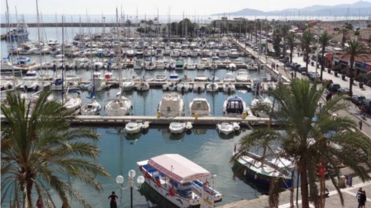 Photo of Others in Saint-Cyprien Plage
