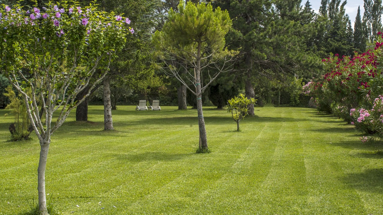 Photo of Outdoor in Maussane
