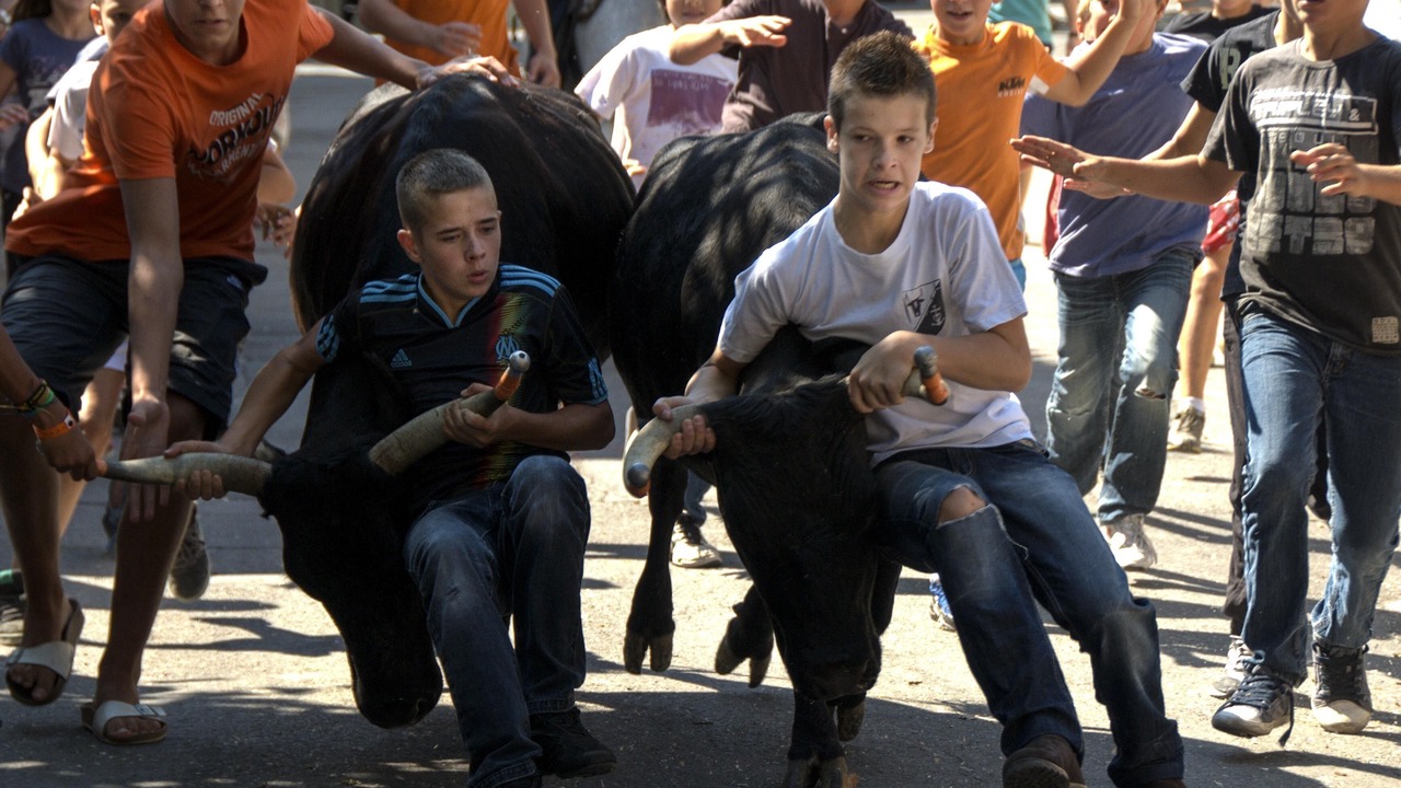 Photo of Others in Maussane