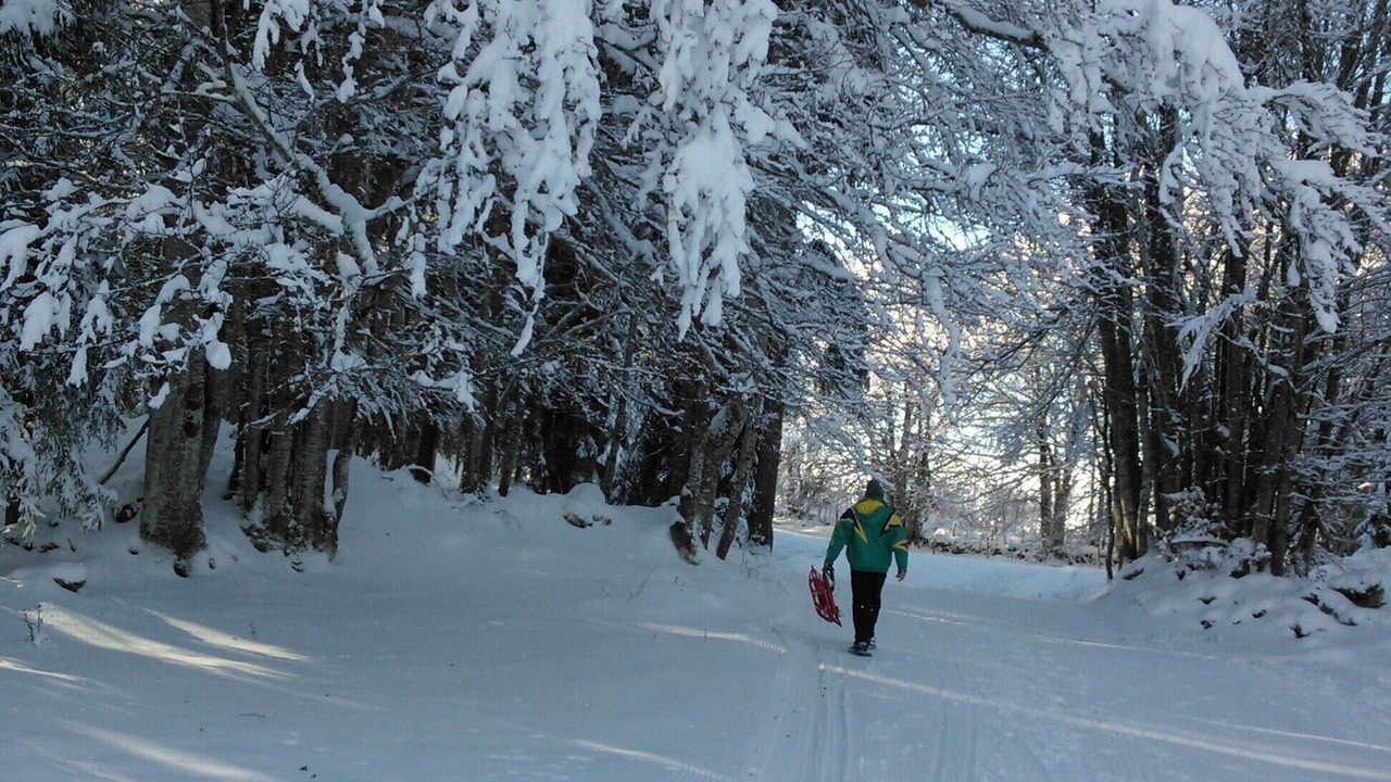 Photo of Others in Paroisse des Monts de Bienne