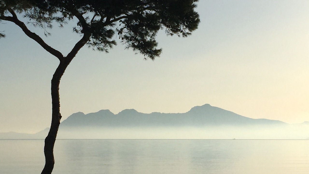 Photo of Others in Puerto de Pollensa