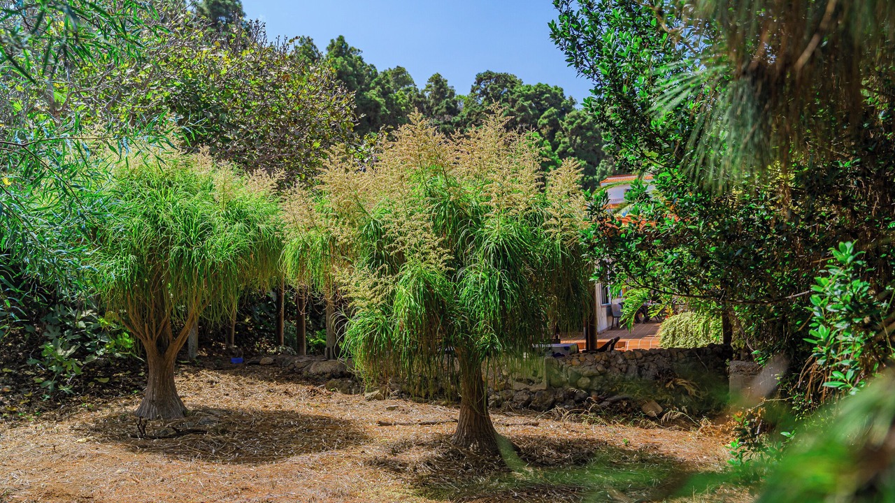 Photo of Outdoor in Santa Barbara