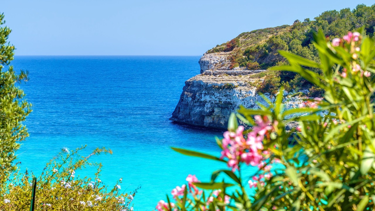 Photo of Others in Cala Anguila-Cala Mendia