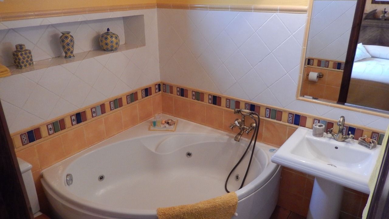 Photo of Bathroom in Hontoria del Pinar