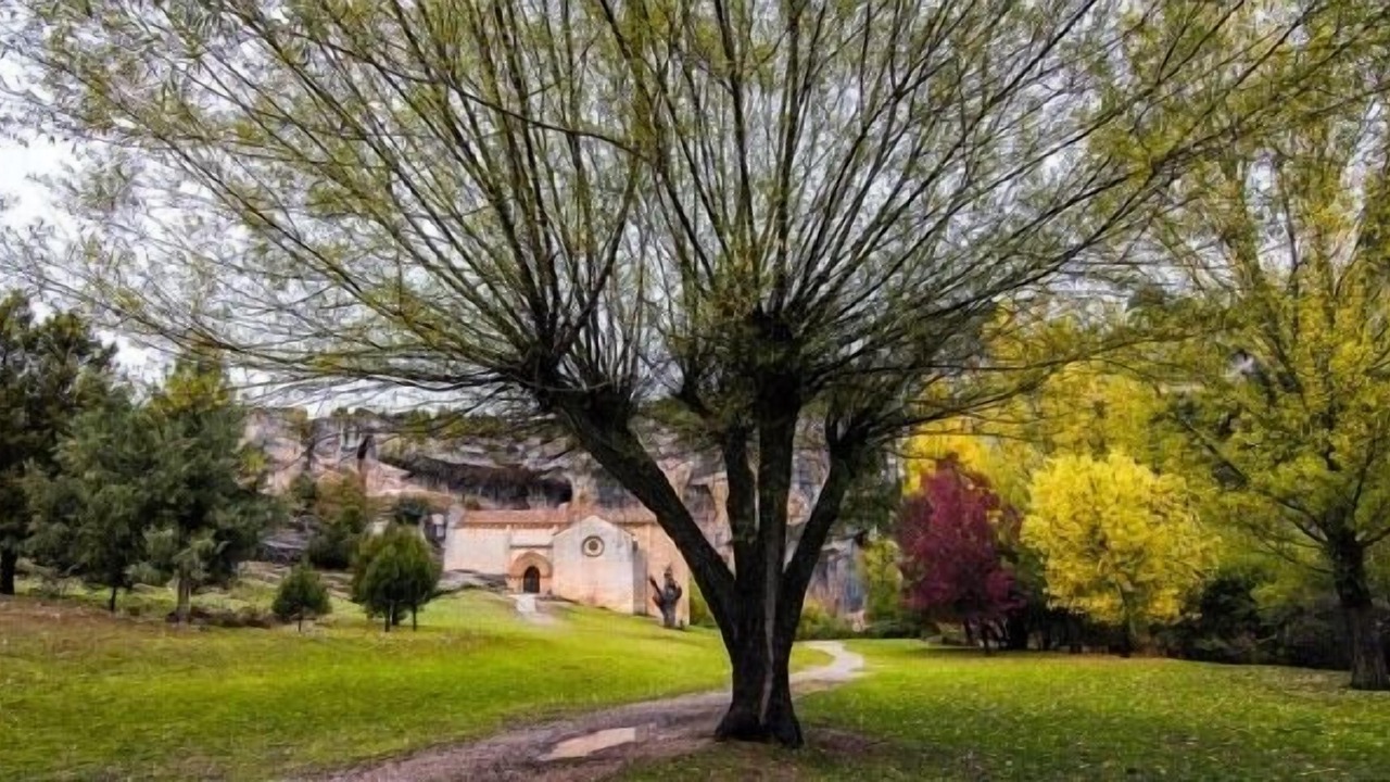 Photo of Outdoor in Hontoria del Pinar