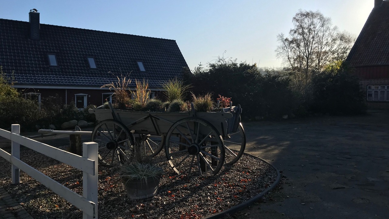 Photo of Outdoor in Heide