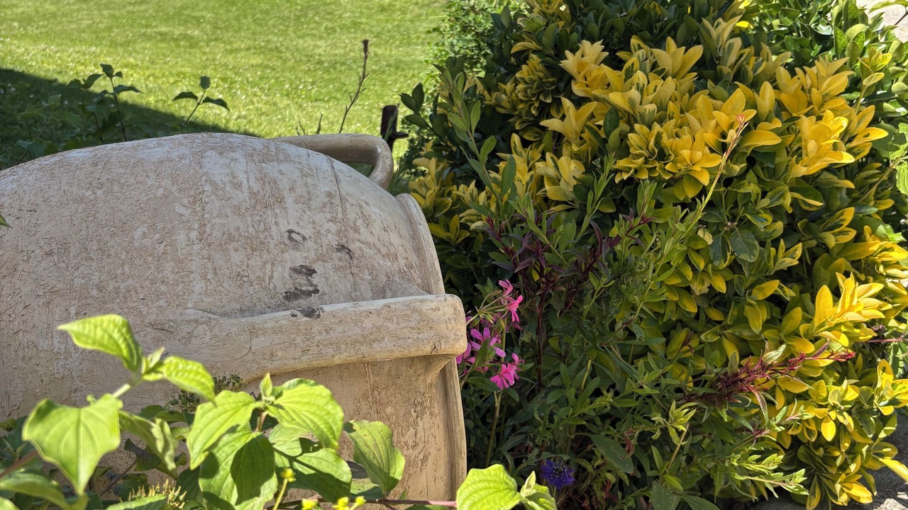 Photo of Outdoor in Cadenet