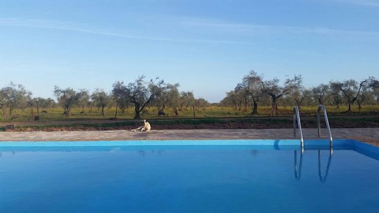 Photo of Outdoor in Cordobilla de Lacara