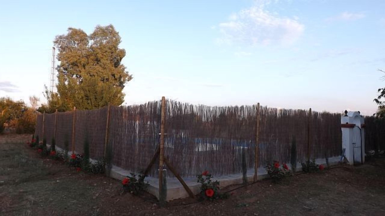 Photo of Others in Cordobilla de Lacara