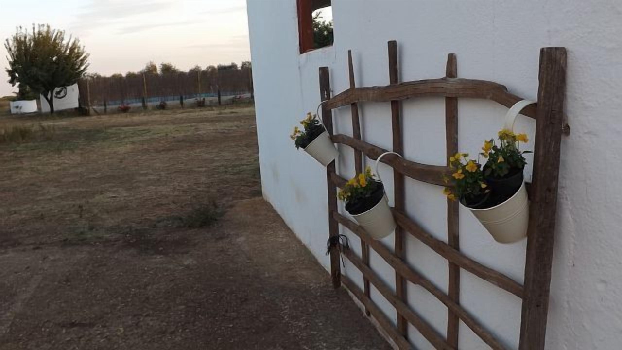 Photo of Outdoor in Cordobilla de Lacara