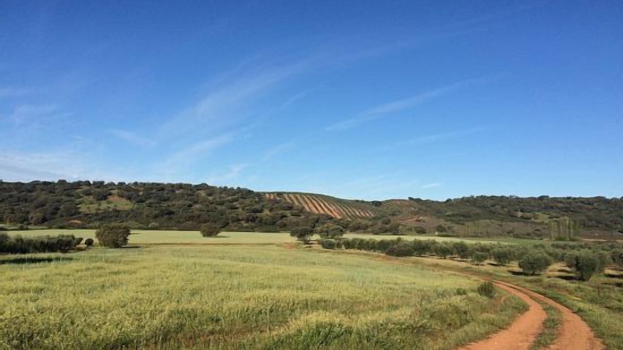 Photo of Others in Cordobilla de Lacara