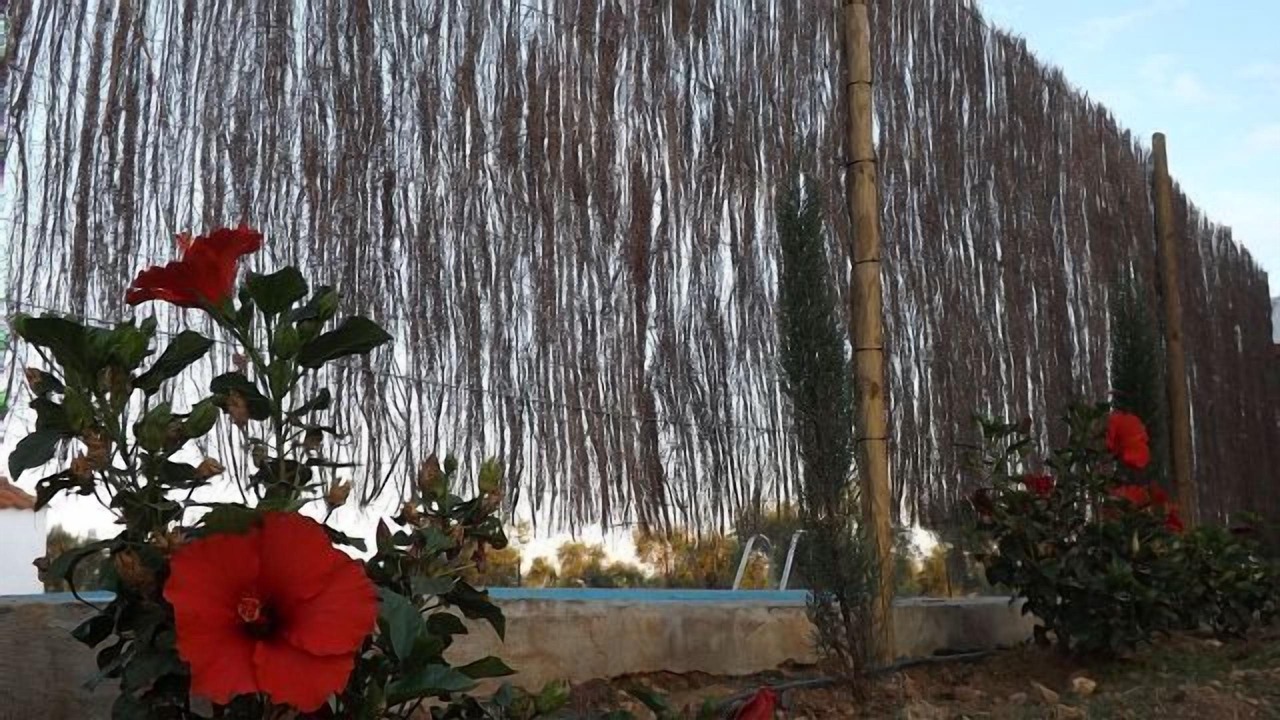 Photo of Outdoor in Cordobilla de Lacara