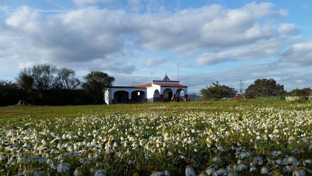 Photo of Outdoor in Cordobilla de Lacara