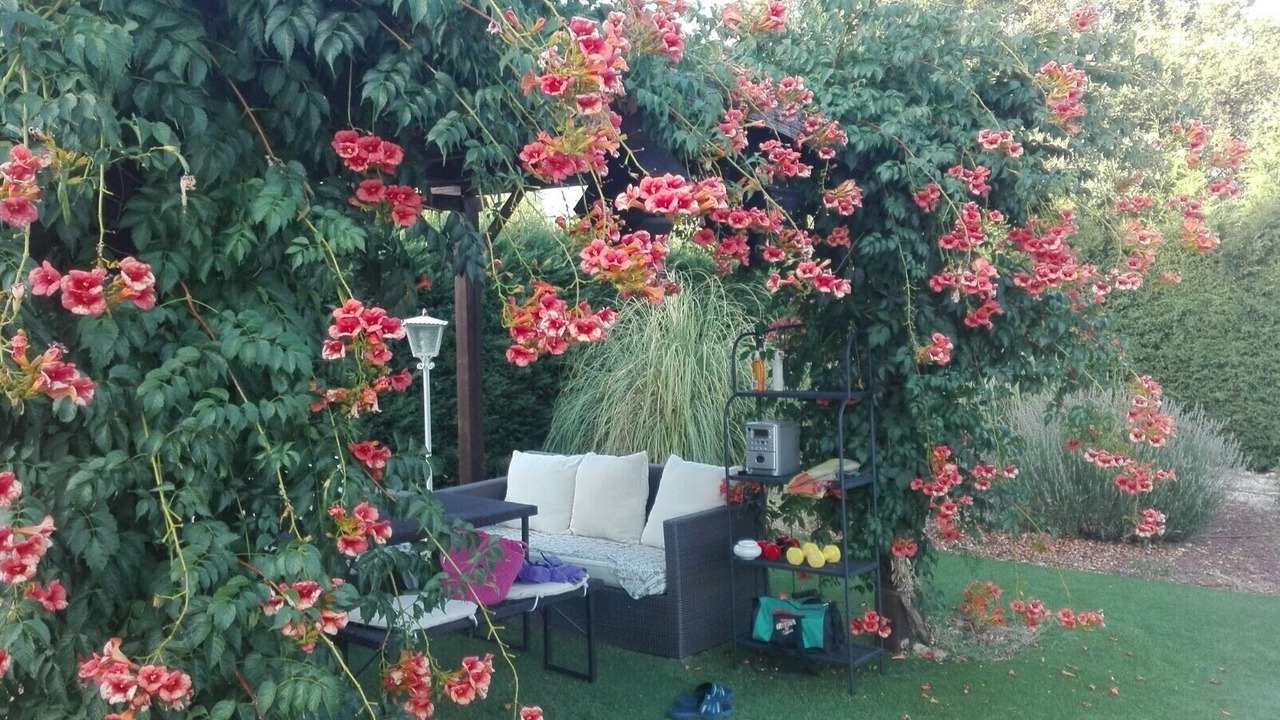 Photo of Patio Balcony in Sotillo de la Adrada