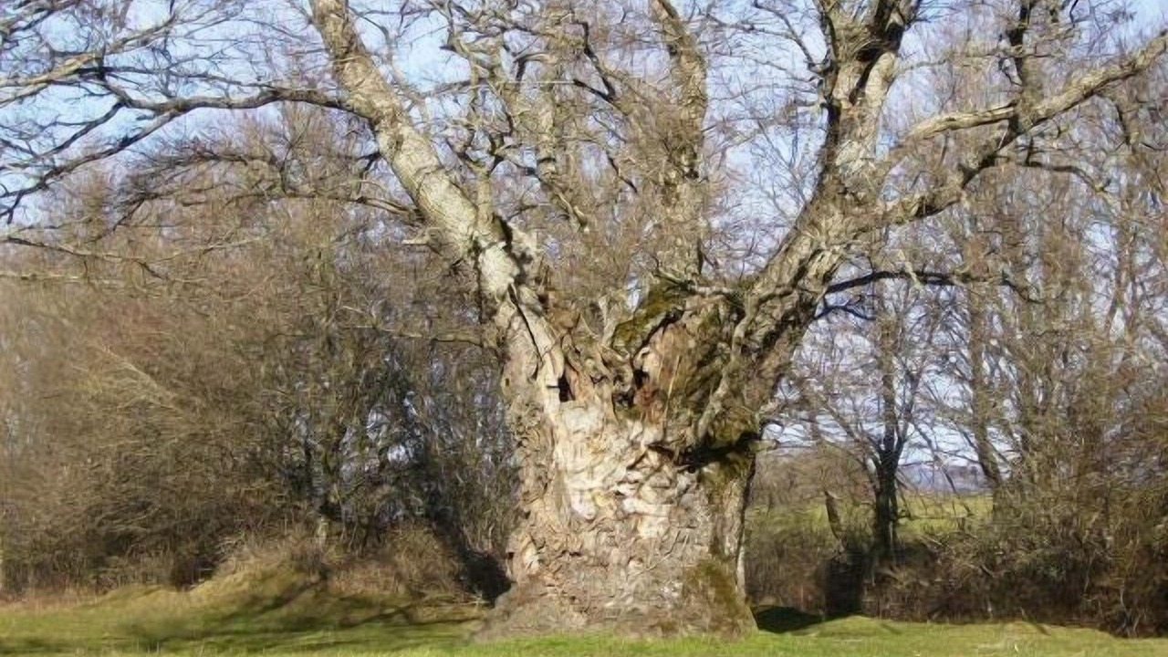 Photo of Outdoor in Agurain