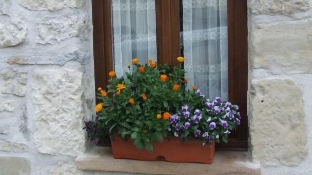 Photo of Outdoor in Agurain
