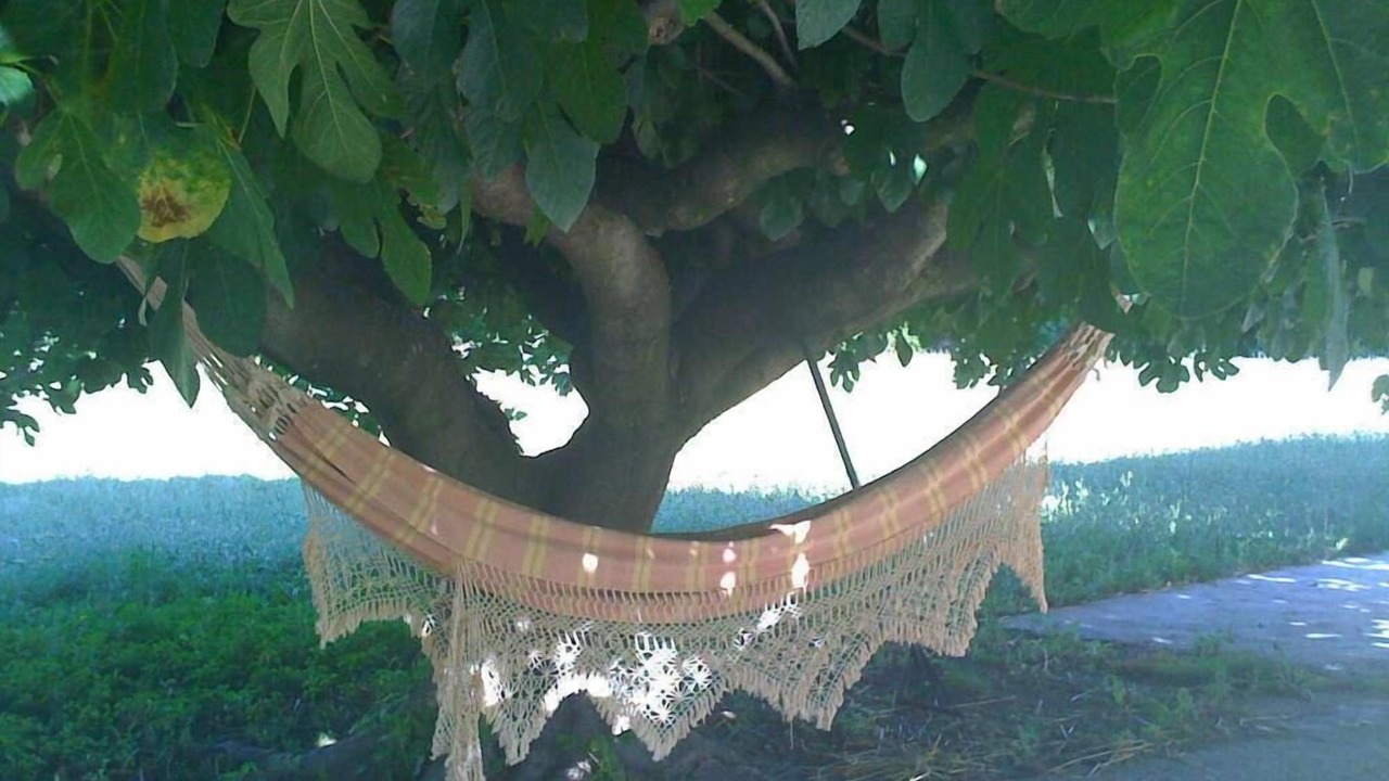 Photo of Outdoor in Marguerittes