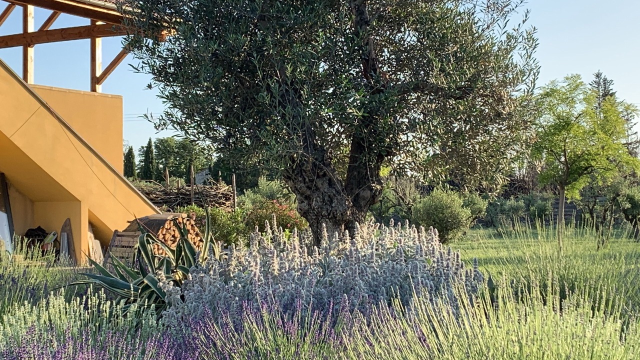 Photo of Outdoor in Marguerittes