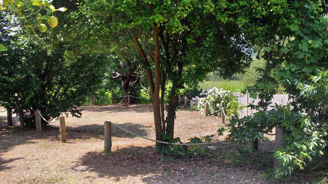 Photo of Outdoor in Betanzos
