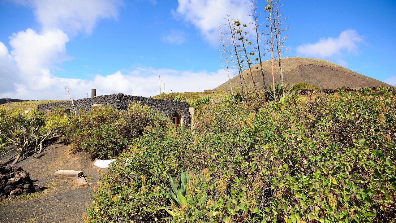 Photo of Outdoor in Haria